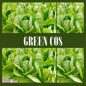 Green Cos