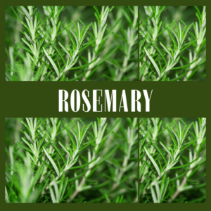 rosemary