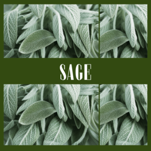 sage