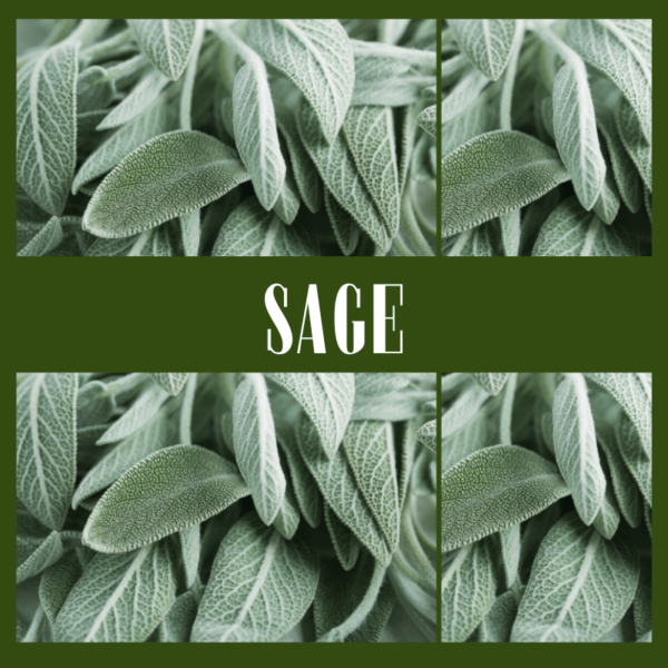 sage