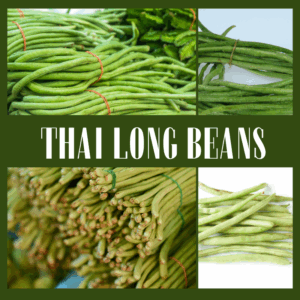 thai-long-beans
